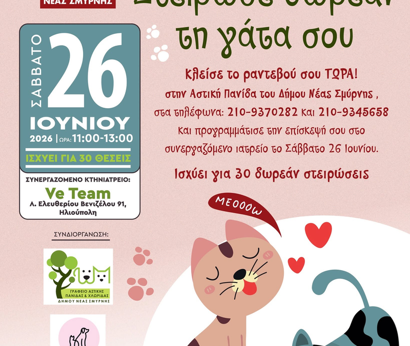 Δωρεάν στειρώσεις δεσποζόμενων γατών από τον Δήμο Νέας Σμύρνης